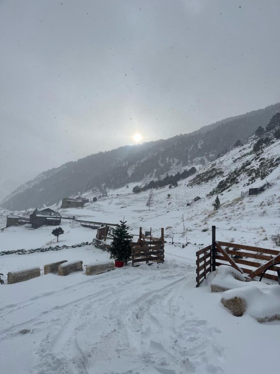 Borda Marti, De Montana En La Vall D'incles Hut1-08422